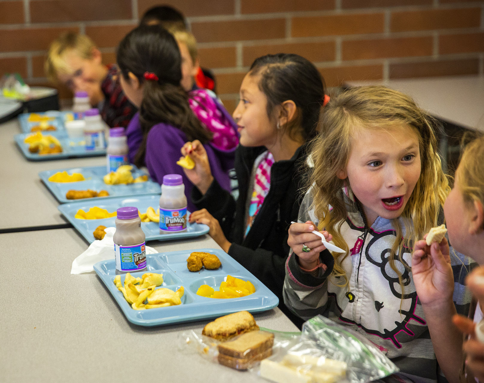 Jerome Elementary Schools